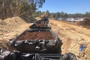 containers of soil