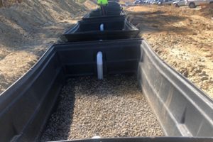 container of soil